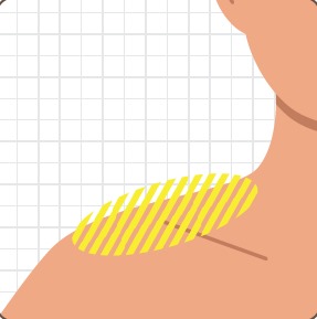 Slide Image Thumbnail